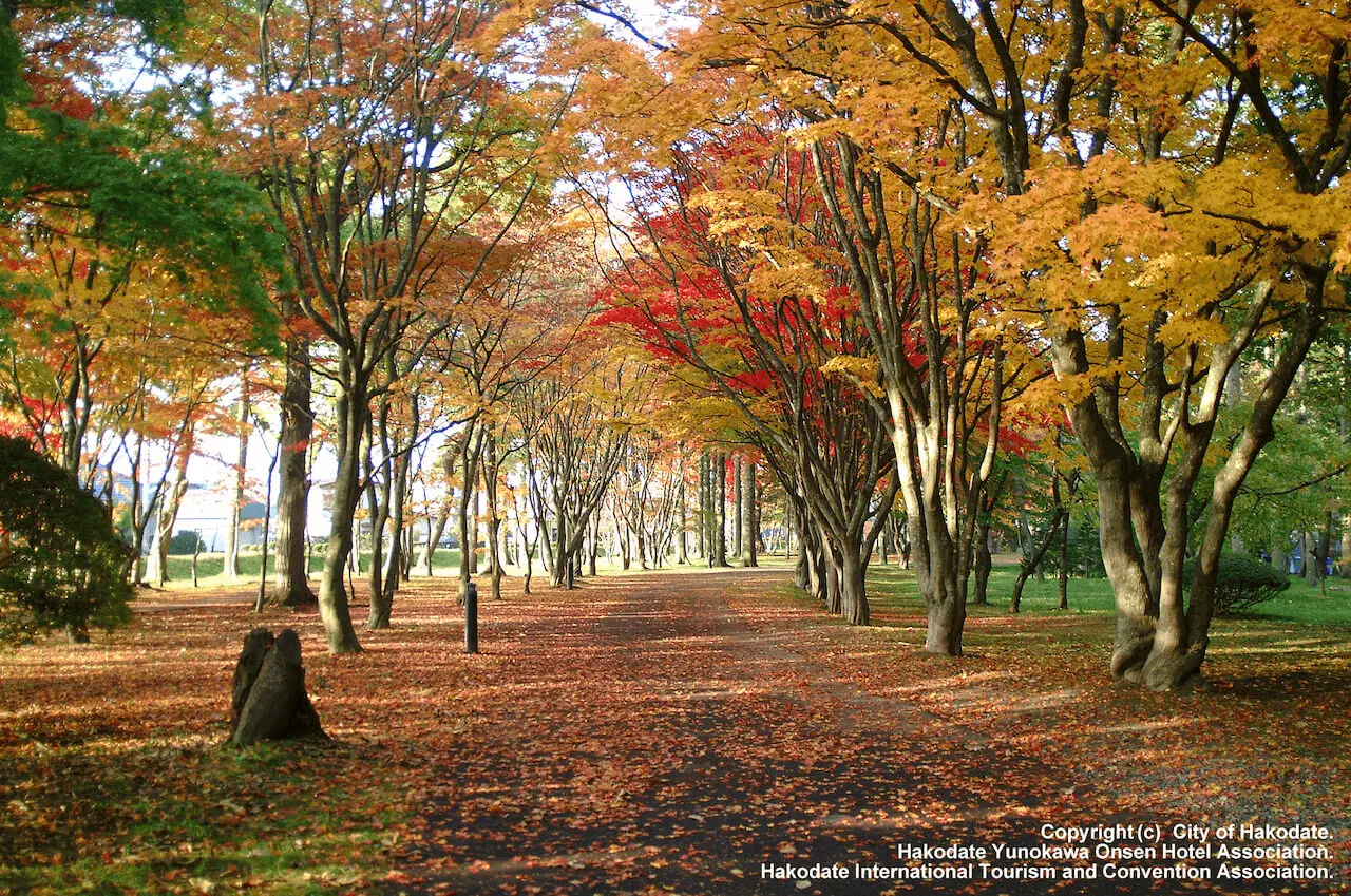 3 days in Hokkaido: Fall Leaves, Foodie, Historic Site