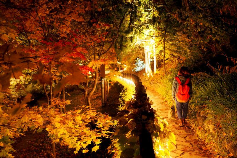 Best Places to View Autumn Leaves in Hokkaido vol. 1