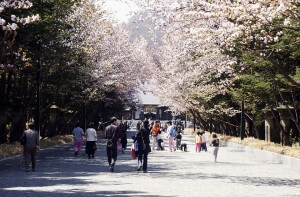 Best Tourist Destinations in Hokkaido This Spring