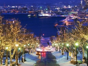 Top Recommendations for December in Hokkaido vol. 1