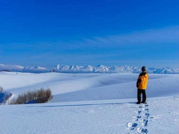 Snowshoe Tour Across Biei’s Majestic Winter Wonderland
