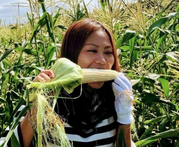 Try Harvesting Your Own Sweet Corn in Biei