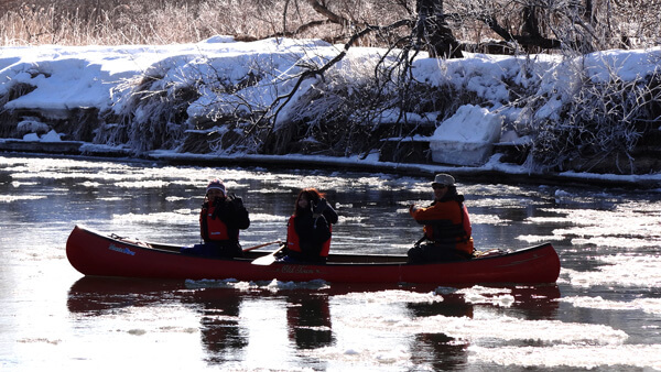 Enjoy a Leisurely Afternoon of Canoeing