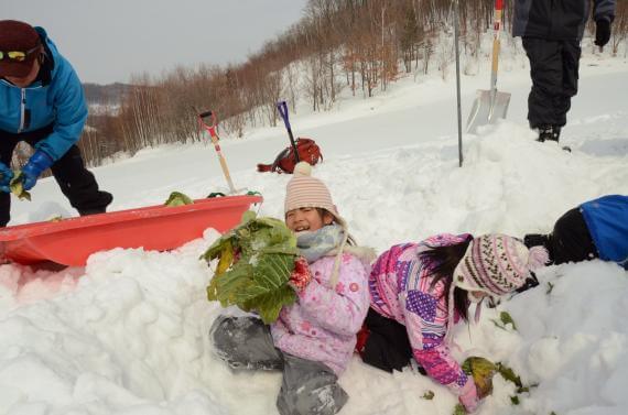 Try “Overwintered” Vegetables on a Furano Farm