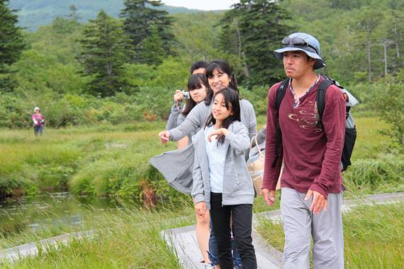Go Trekking Through Niseko’s Tranquil Forests