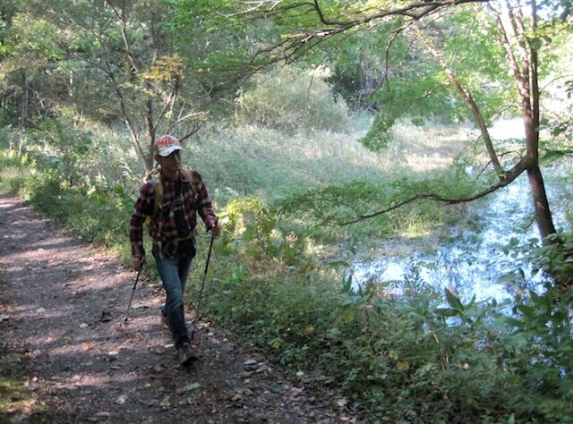 Nordic Walking and Birdwatching at Nopporo Forest Park