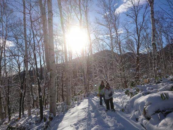 Snowshoe Trekking in the Heart of Sapporo