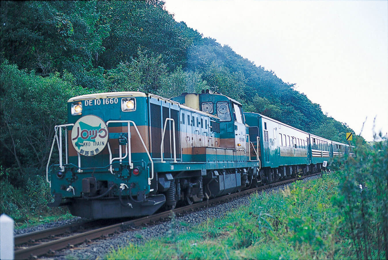 Kushiro Shitsugen Norokko Train: Admire Rare Flora and Fauna While Riding the Rails