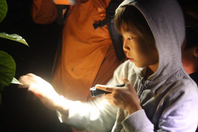 Kids Night Trekking in Niseko: Discover Bugs and Birds