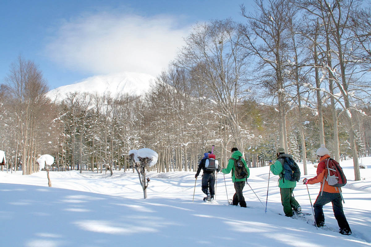 Take Scenic Snowshoe Stroll Through Niseko