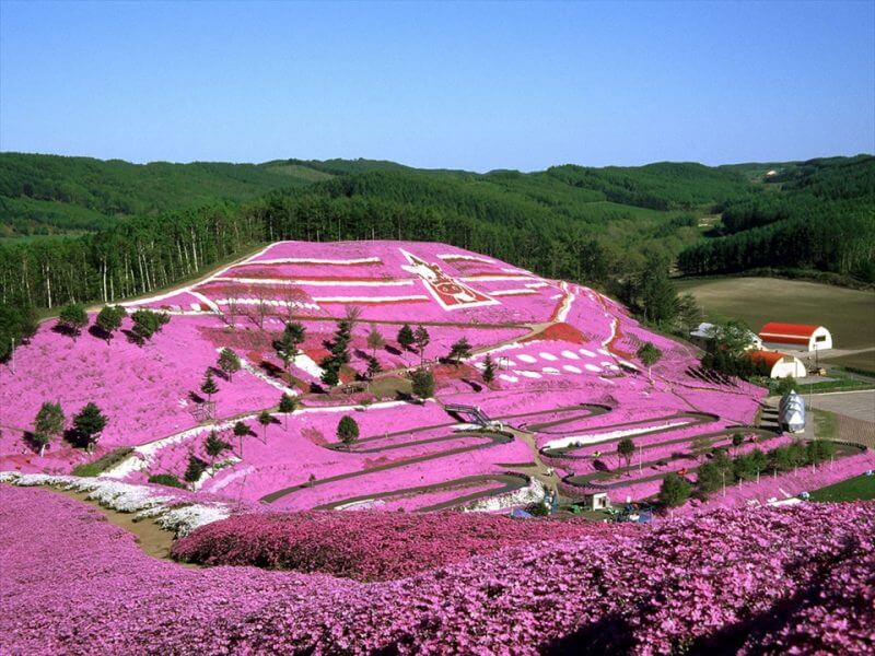 Places You Can’t Miss in Hokkaido This June vol. 1