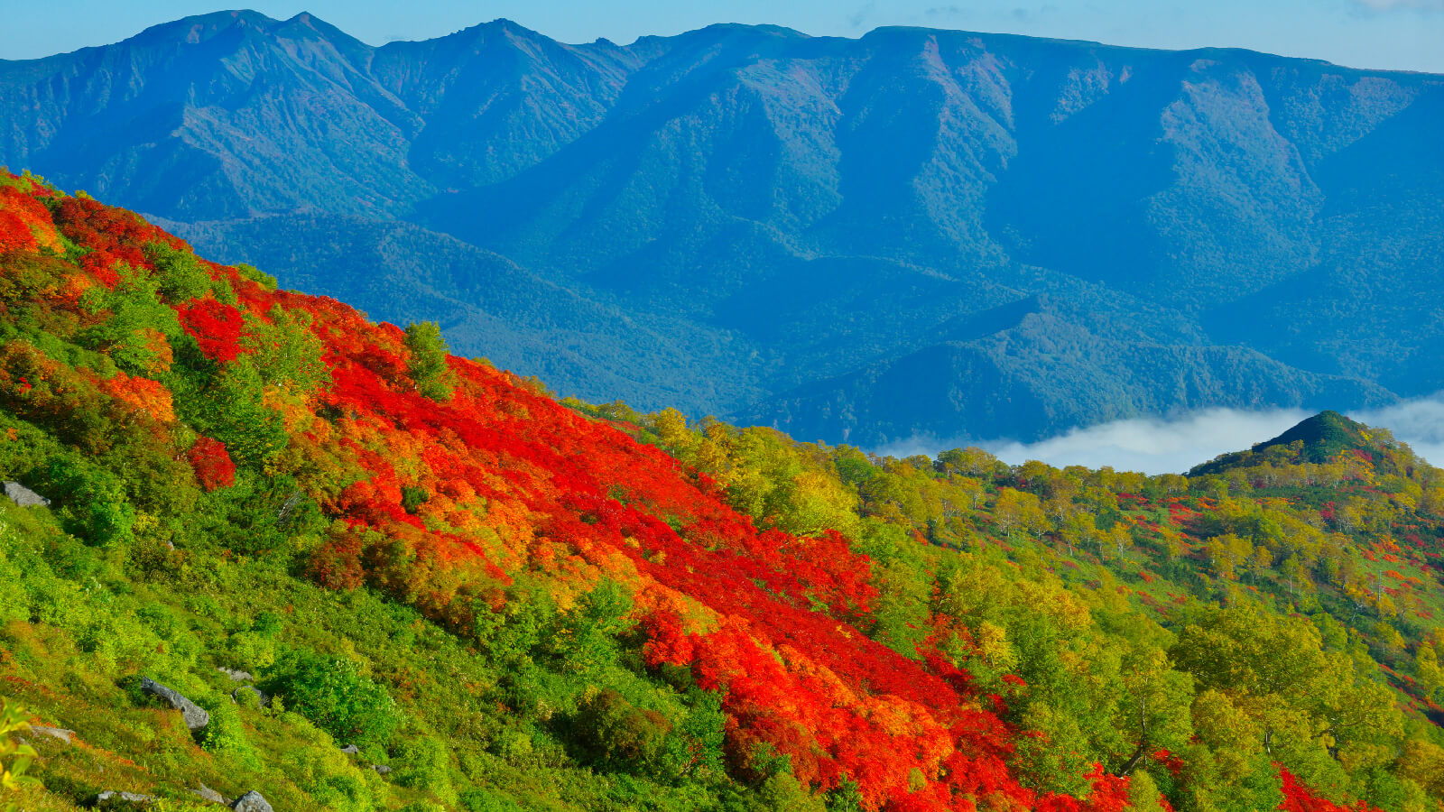 Sounkyo Ginsendai: Japan's Earliest Autumn Foliage