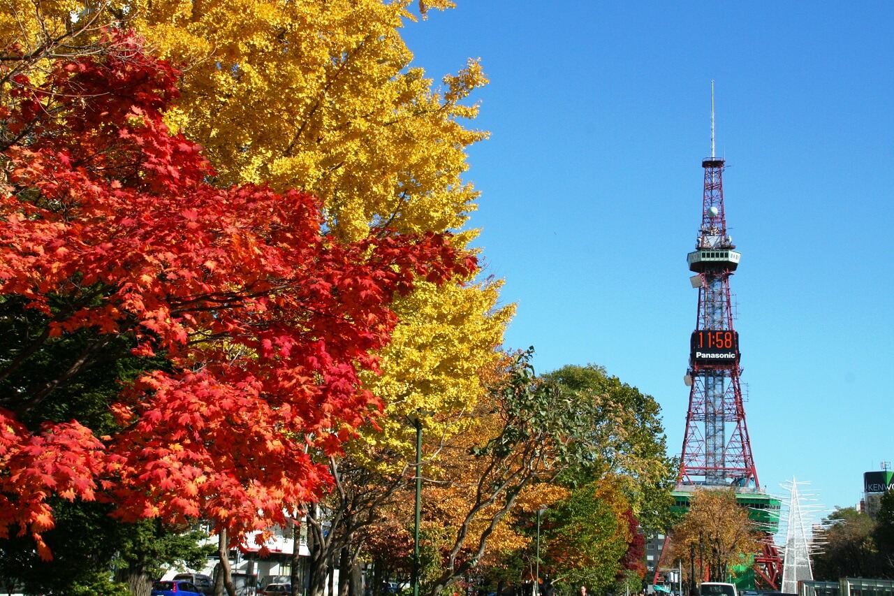 Sapporo’s Top Night Views: The Sapporo TV Tower