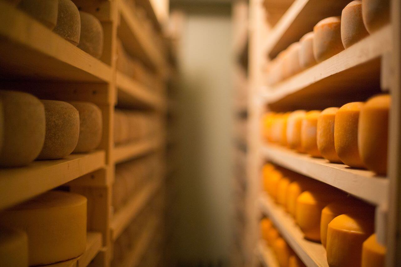Cheese Galore at the Niseko Cheese Factory