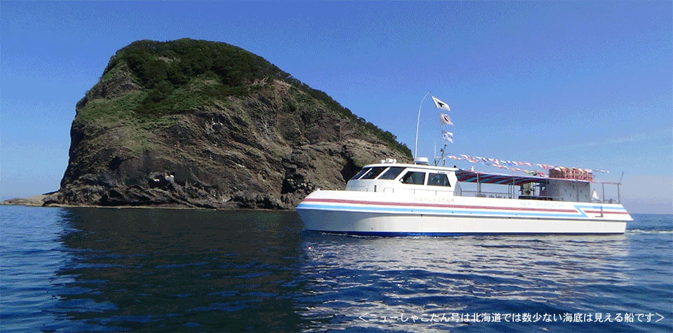 Explore Around the Shakotan Peninsula from a Glass-Bottomed Boat