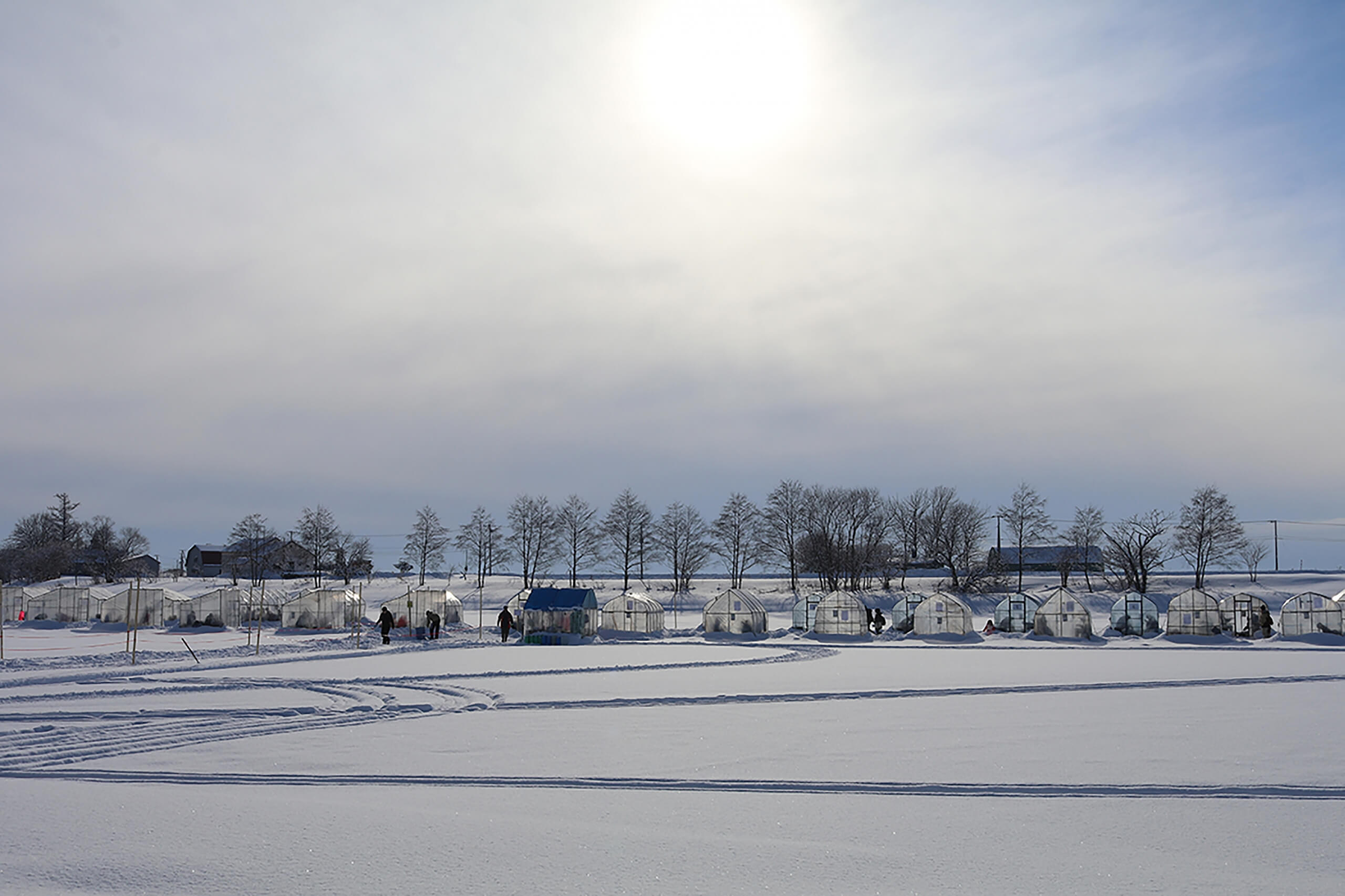 Wakasagi Smelt Ice-fishing at Lake Shinotsu: A Perfect Day Trip from Sapporo