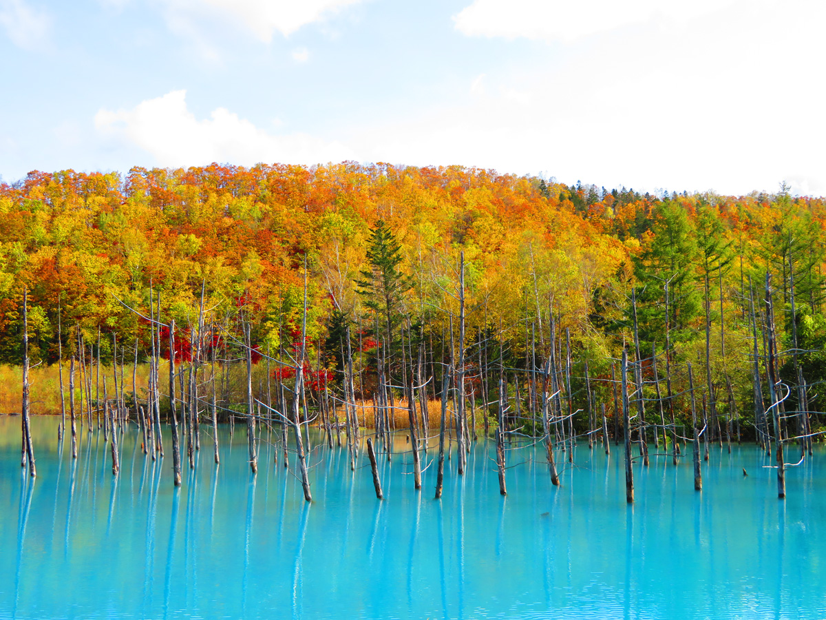 Best Places to View Autumn Leaves in Hokkaido vol. 3