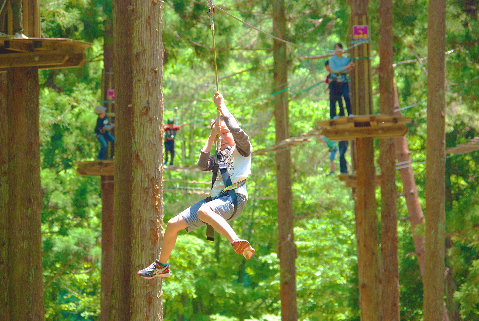 This Treetop Adventure is Sure to Captivate Children and Adults Alike