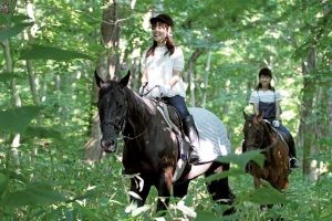 Ride Former Racehorses at the Niikappu Horoshiri Horse Riding Club