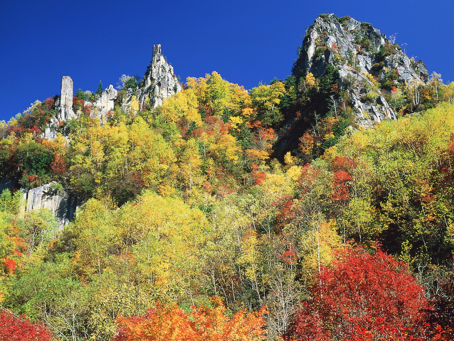 Be Sure to Visit the Best Places in Hokkaido to View the Autumn Foliage!