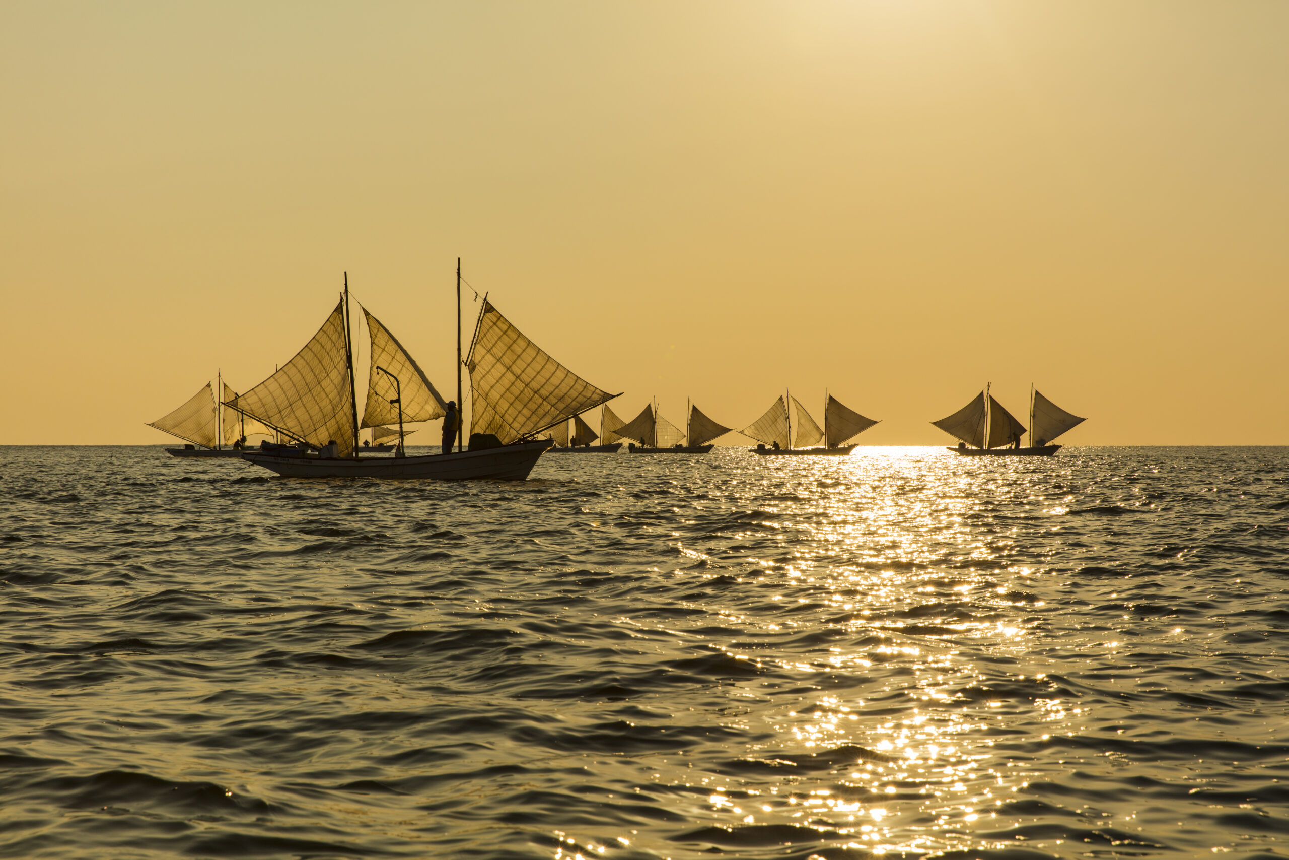 See Traditional “Utasebune” Boats Fishing for Shrimp off the Coast of the Notsuke Peninsula