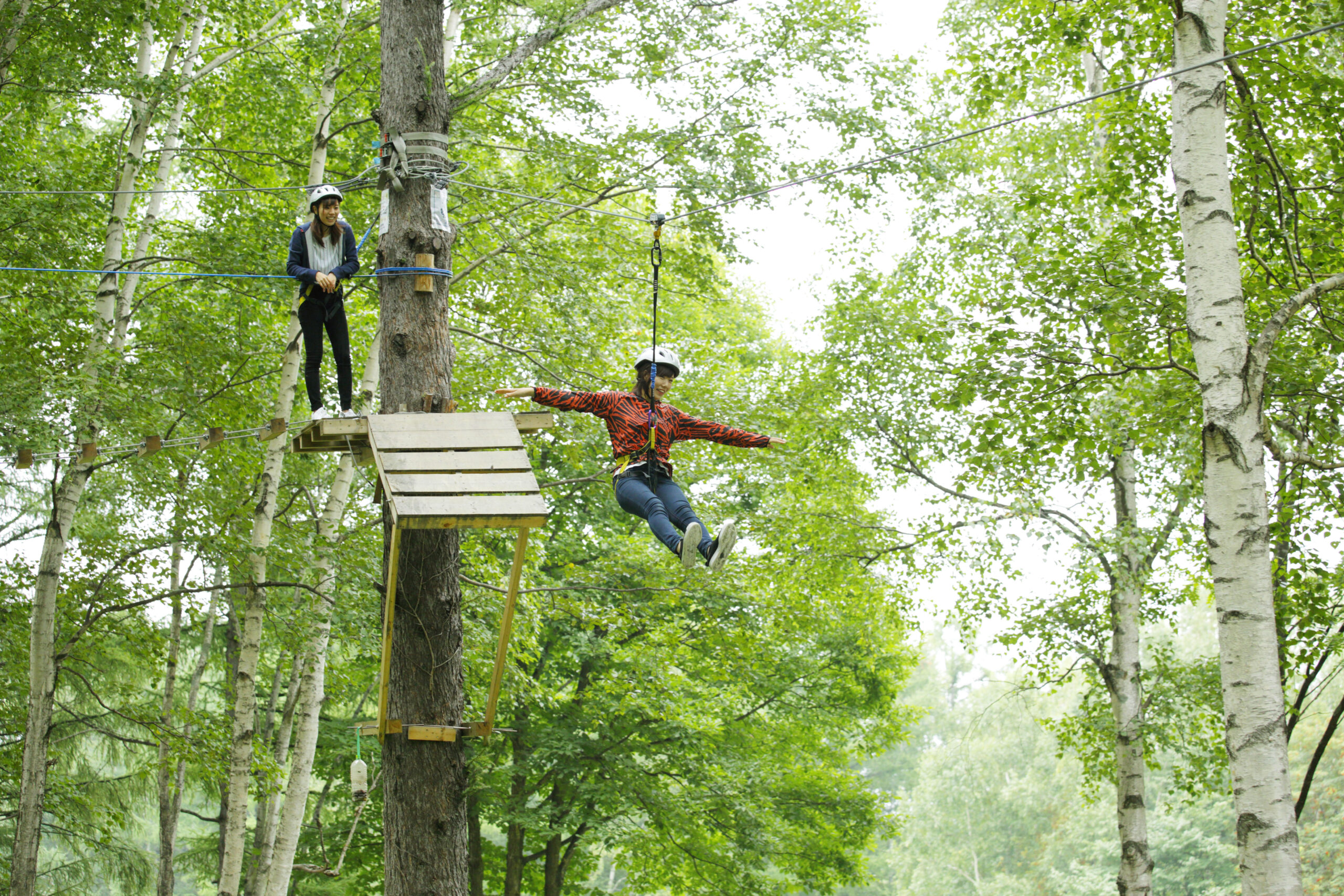 Tree Adventure Furano - Try Some Treetop Athletics