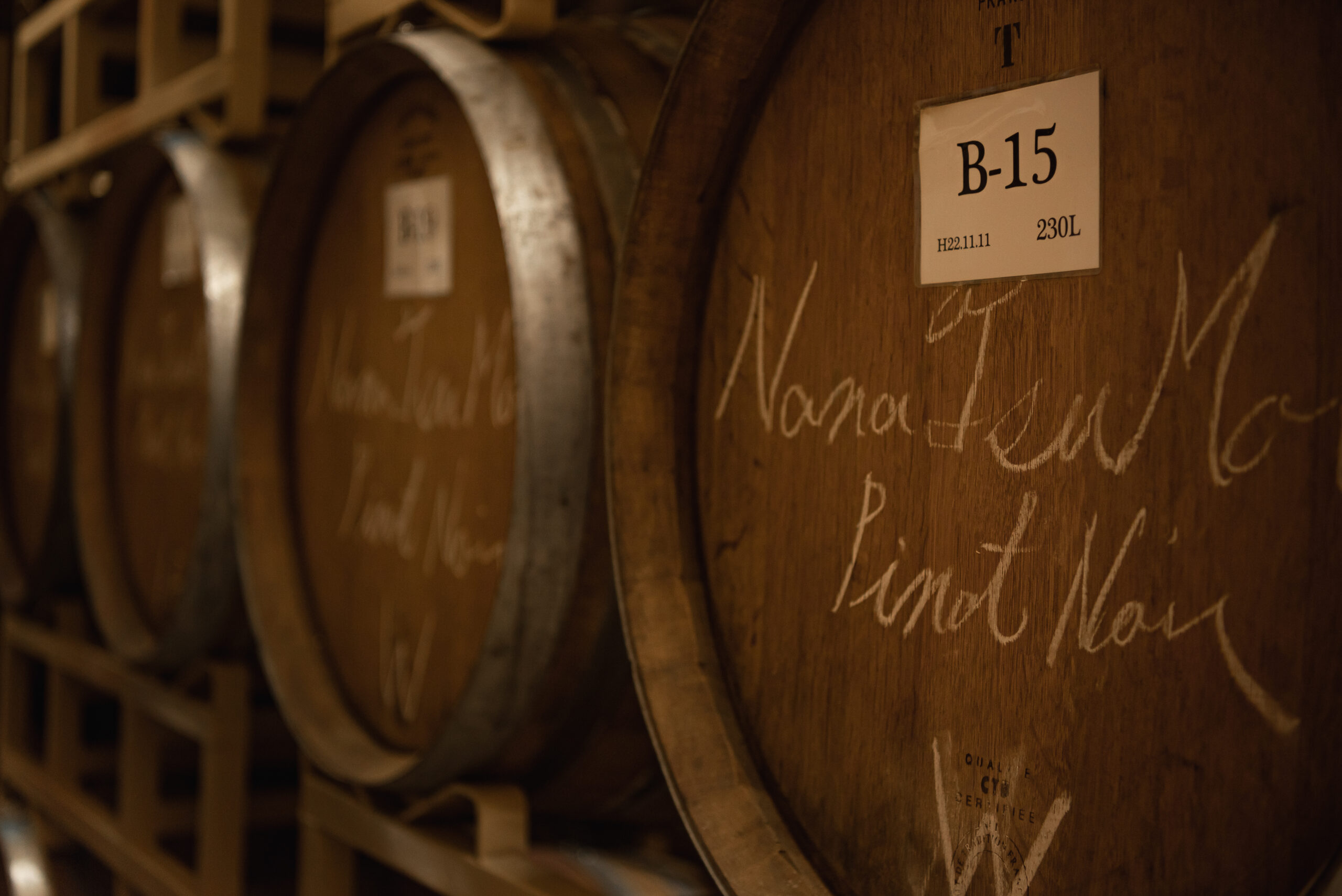 Mongaku Valley Winery’s wine cellar is minimalistic, focusing primarily on hygiene.  The wine barrels of Domaine Takahiko. 
