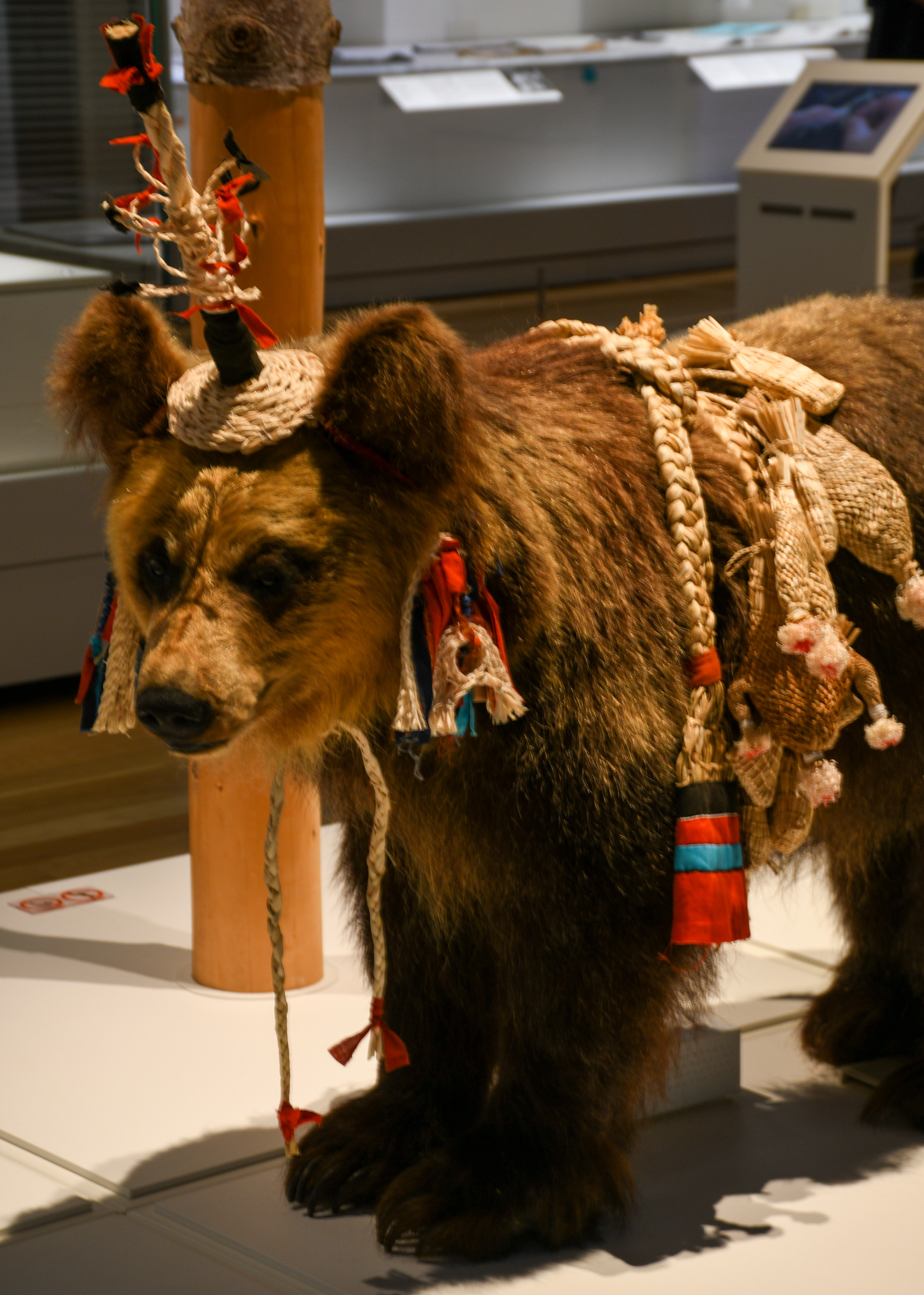 Ainu culture is introduced through a range of displays. 